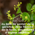 Soutien-gorge Foulard coton bio et teinture végétale Bois de rose 