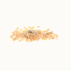 POIVRON California Wonder orange - Graines Bio