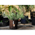 Pot en géotextile pour aromates - Root Pouch