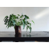 Pot en géotextile pour aromates - Root Pouch