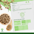Artémisia Bio - Complément alimentaire - 100% Armoise en Poudre - Fabriqué en France - Vegan - Certifié écocert - 60 gélules