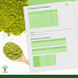 Thé Matcha Japonais Bio en Poudre - Colorant Alimentaire Vert - Infusion - Conditionné en France - Certifié écocert - 50g