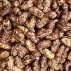 Pistaches au sumac BIO 200gr