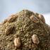 Pistaches au zaatar BIO 200gr