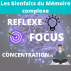Elitea Mémoire Intellectuelle Cognitive Formule Complexe et Augmente Concentration Magnesium Vitamines Zinc Mentale Performence Focus Booster 