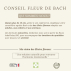 Fleurs de Bach Craintifs - 30ML - Lot de 2 