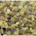 Résine Oliban d'Erythrée "Larmes du Soudan"- 100g