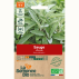 SAUGE officinale - Graines Bio