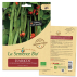 Semence - HARICOT vert grimpant d'Espagne Scarlett Emperor Bio