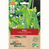 POIS mangetout à rame Ambrosia - Graines Bio