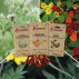 Fleurs comestibles - 3 sachets de graines bio à semer