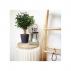 Tabouret pliable 42 cm blanc