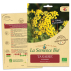 Semence - TANAISIE commune Bio