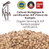 Poivre blanc de Kampot IGP - Biologique - Premium - en grains - 1kg 