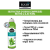 Boldair - Destructeur d'odeur et parfumants d'intérieur - Format compressé - parfum menthe et aloe vera - Flacon 100% recyclé - 250 ml