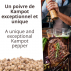 Poivre blanc de Kampot IGP - Biologique - Premium - en grains - 1kg 