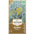 Helichryse Plante Curry - Semences reproductibles bio