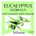 Huile essentielle d'Eucalyptus 100% pure et naturelle - 10 ml