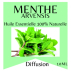 Huile essentielle Menthe Arvensis 100% pure et naturelle - 10 ml