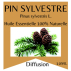 Huile essentielle Pin Sylvestre 100% pure et naturelle - 10 ml