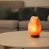 Lampe en cristal de sel d'Himalaya 2 à 3 kg  avec support bois