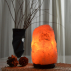 Lampe en cristal de sel d'Himalaya 4 à 6 kg  avec support bois