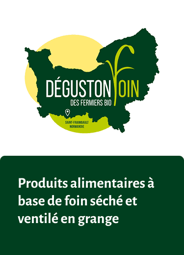 D&eacute;gustonfoin sur Sevellia.com