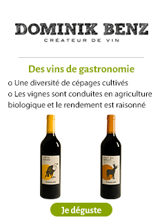 Dominik Benz sur SEVELLIA.COM