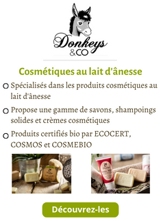 Donkeys and Co sur Sevellia.com